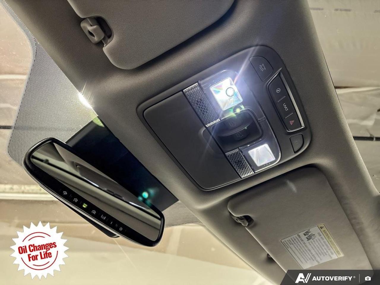 2020 Kia Telluride  Photo