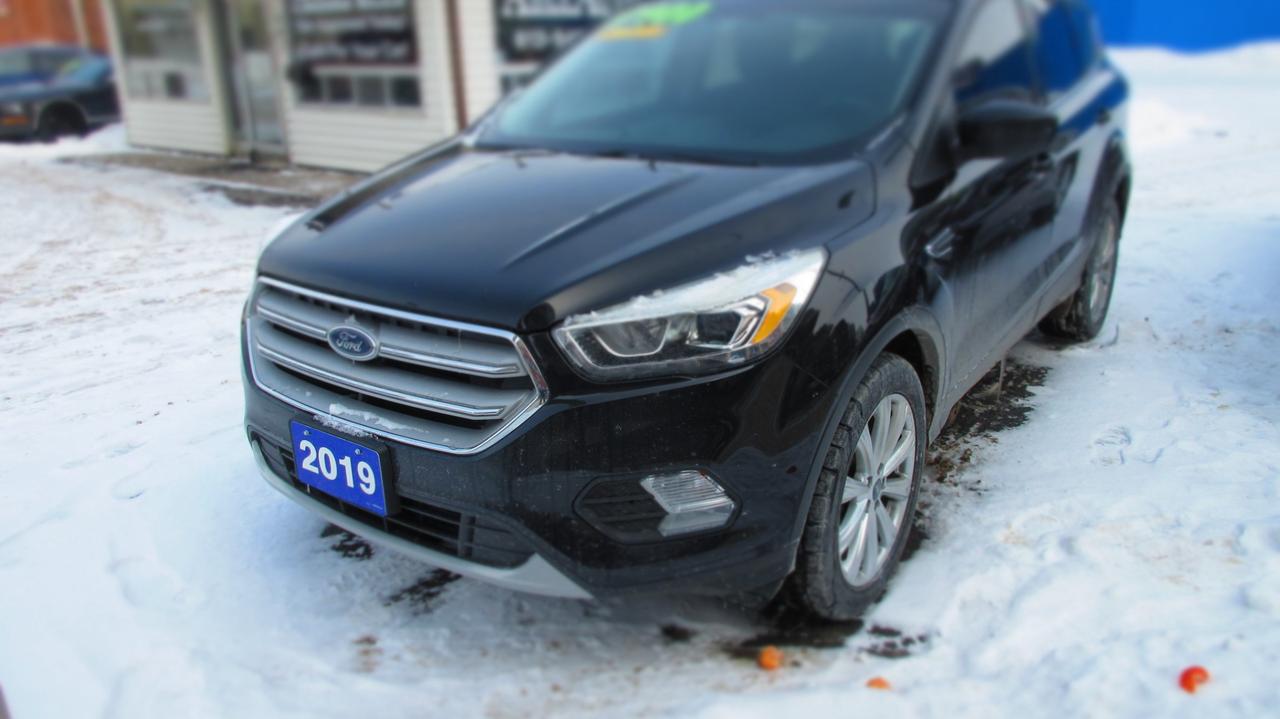 2019 Ford Escape SEL 4dr 4x4 Photo