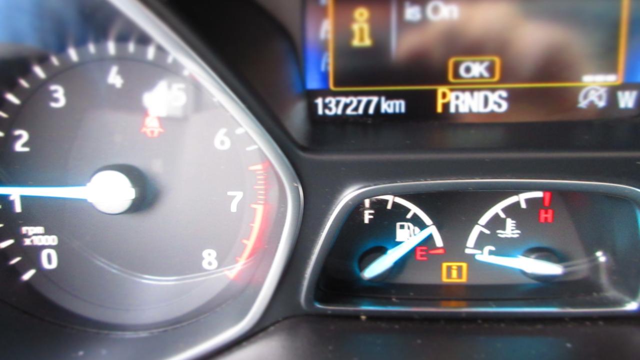 2019 Ford Escape SEL 4dr 4x4 Photo