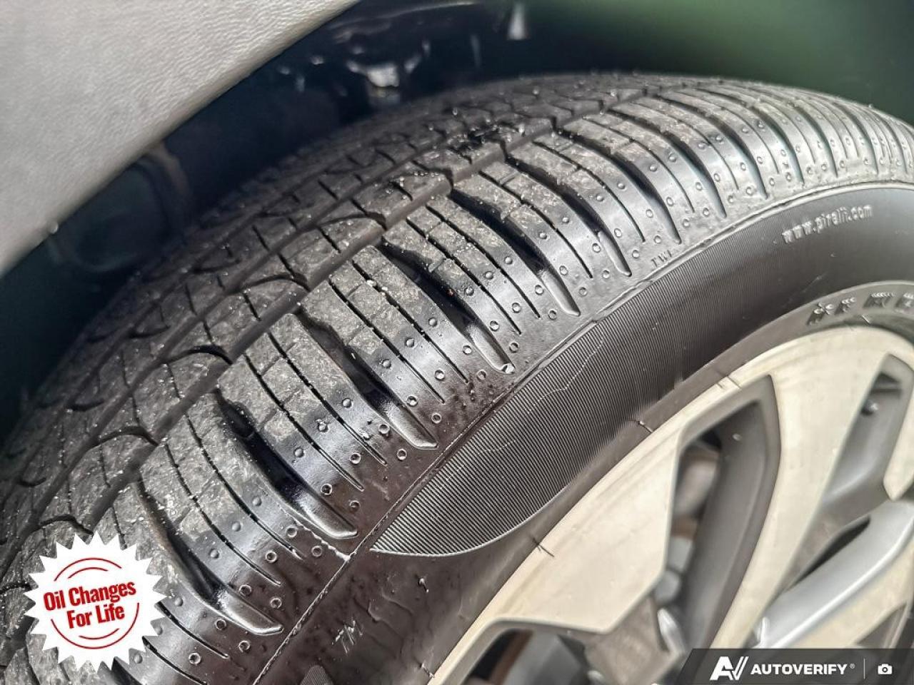 2021 Kia Telluride  Photo