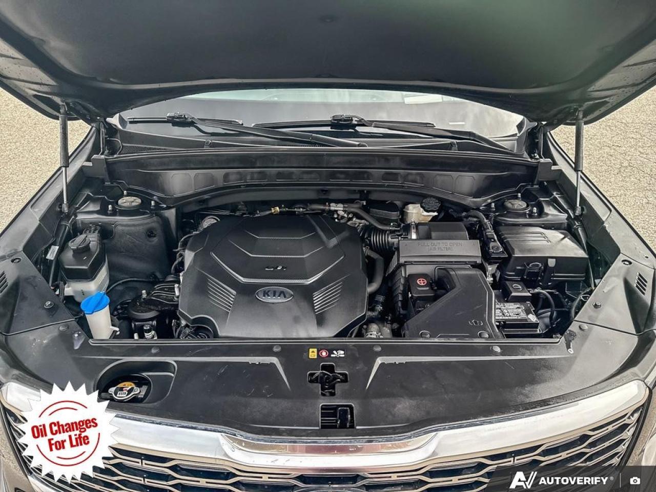 2021 Kia Telluride  Photo