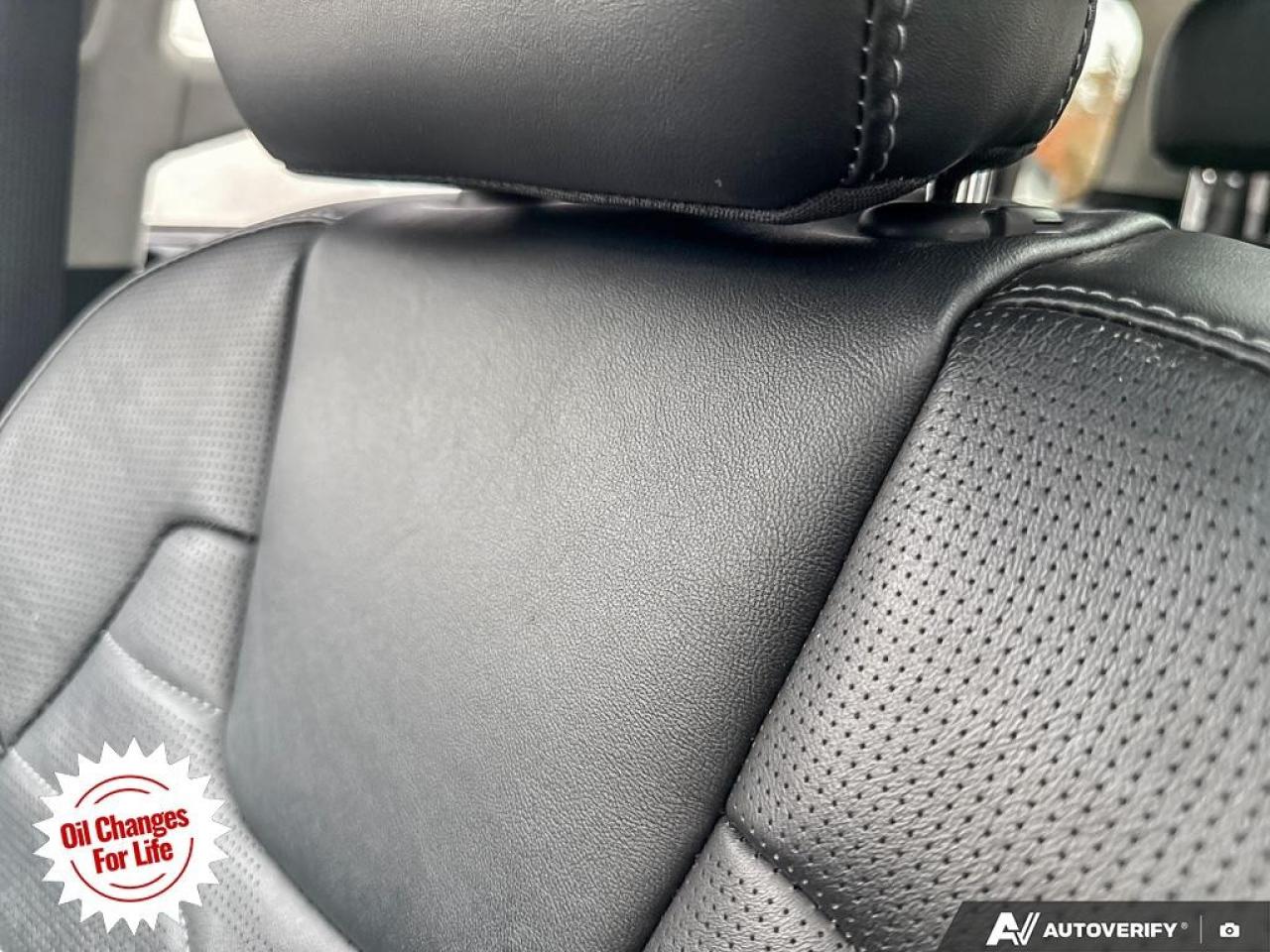 2021 Kia Telluride  Photo