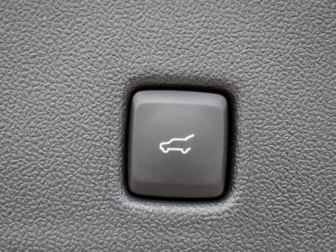 2024 Ford Escape ST-Line Select 4dr All-Wheel Drive Photo