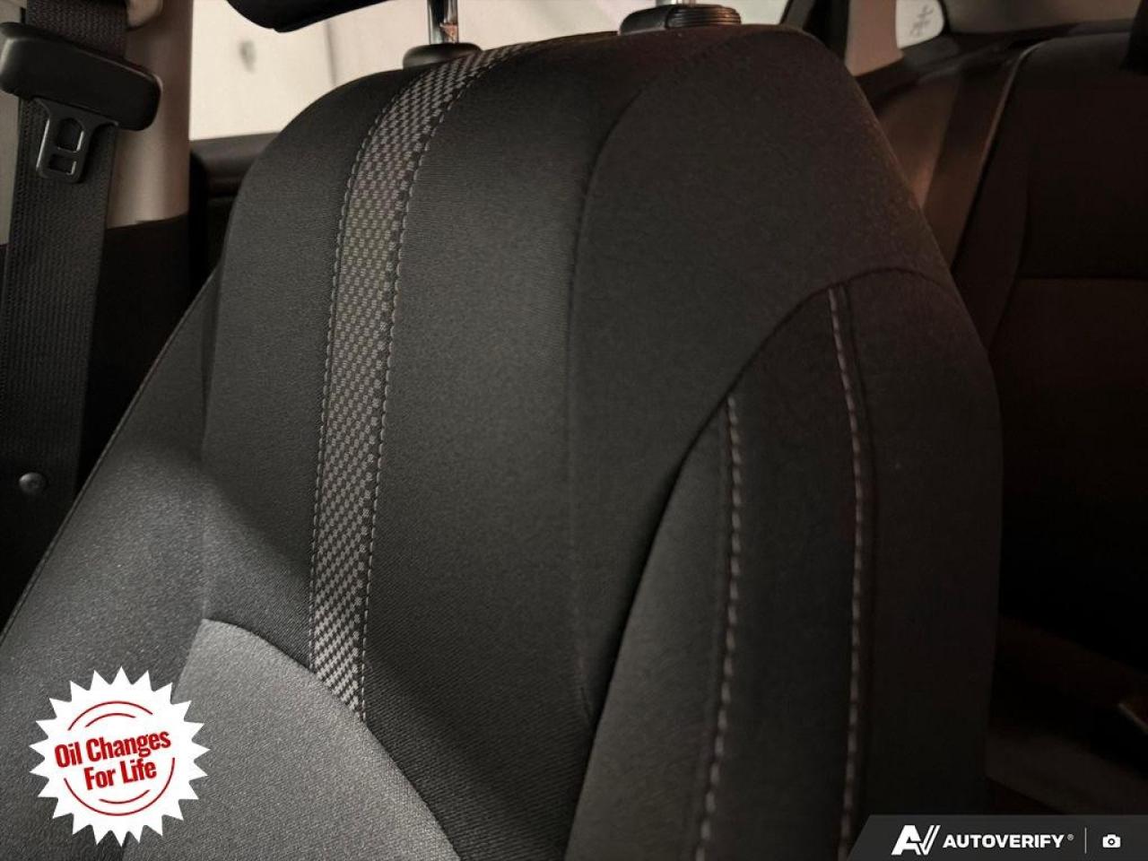 2019 Honda Civic Sedan EX CVT Sedan Photo