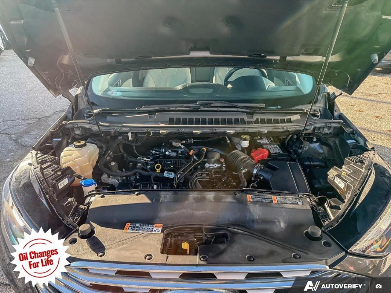 2019 Ford Edge Titanium AWD Photo