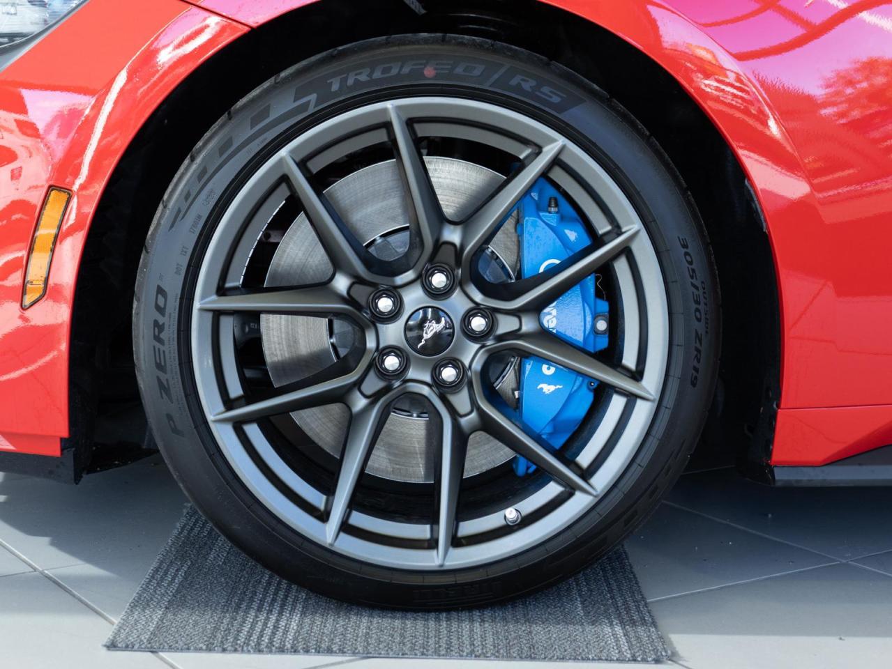 2024 Ford Mustang Dark Horse 2dr Fastback Photo