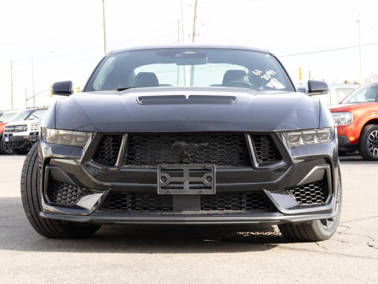 2024 Ford Mustang  Photo