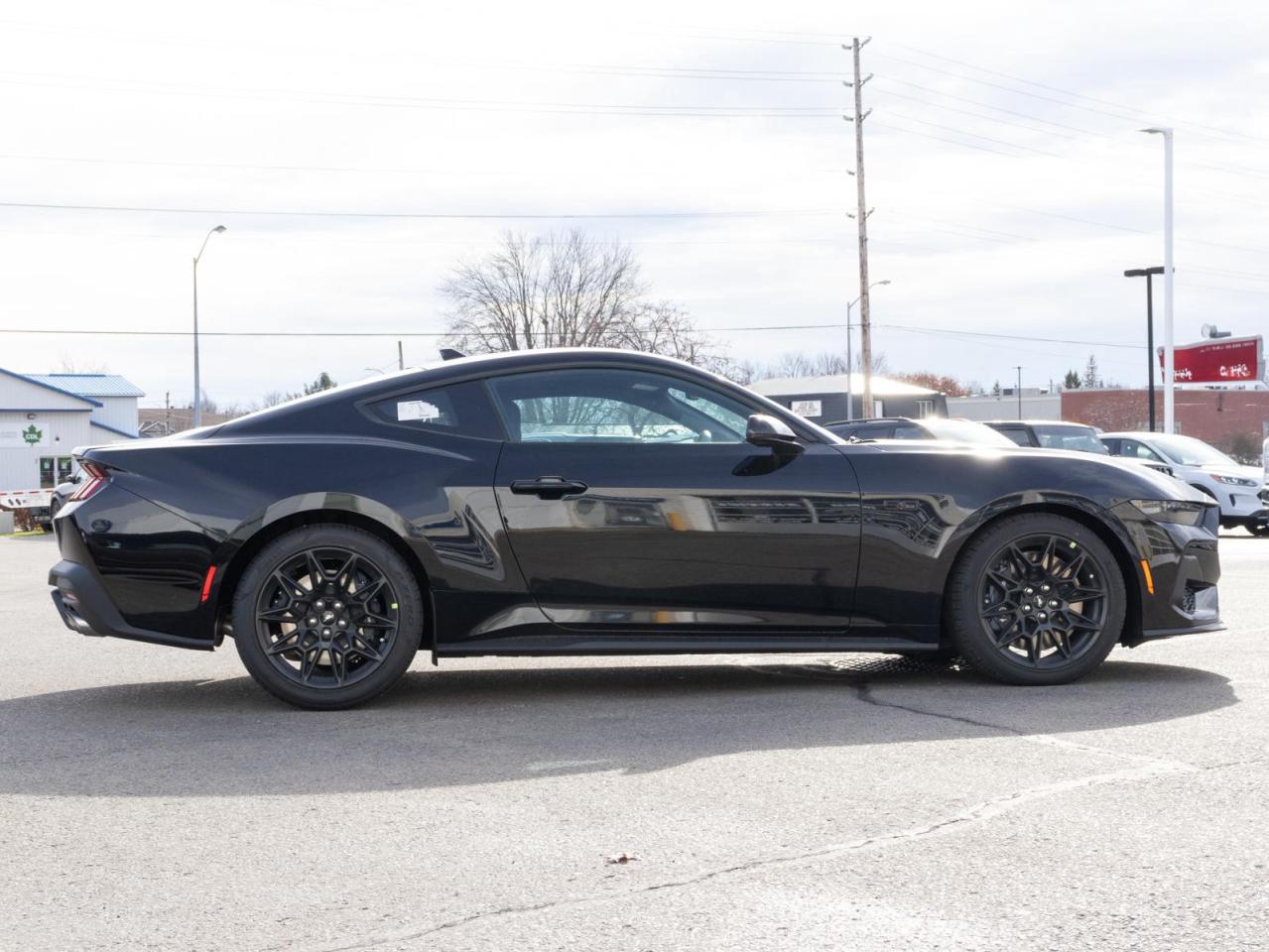 2024 Ford Mustang  Photo