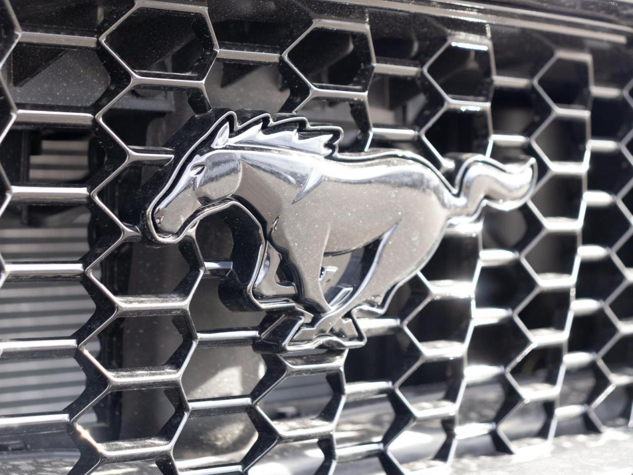 2024 Ford Mustang  Photo