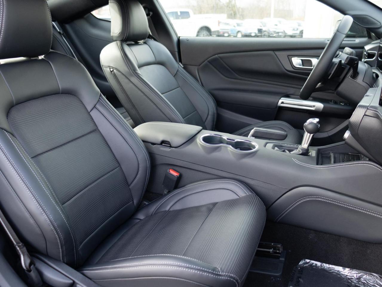 2024 Ford Mustang  Photo