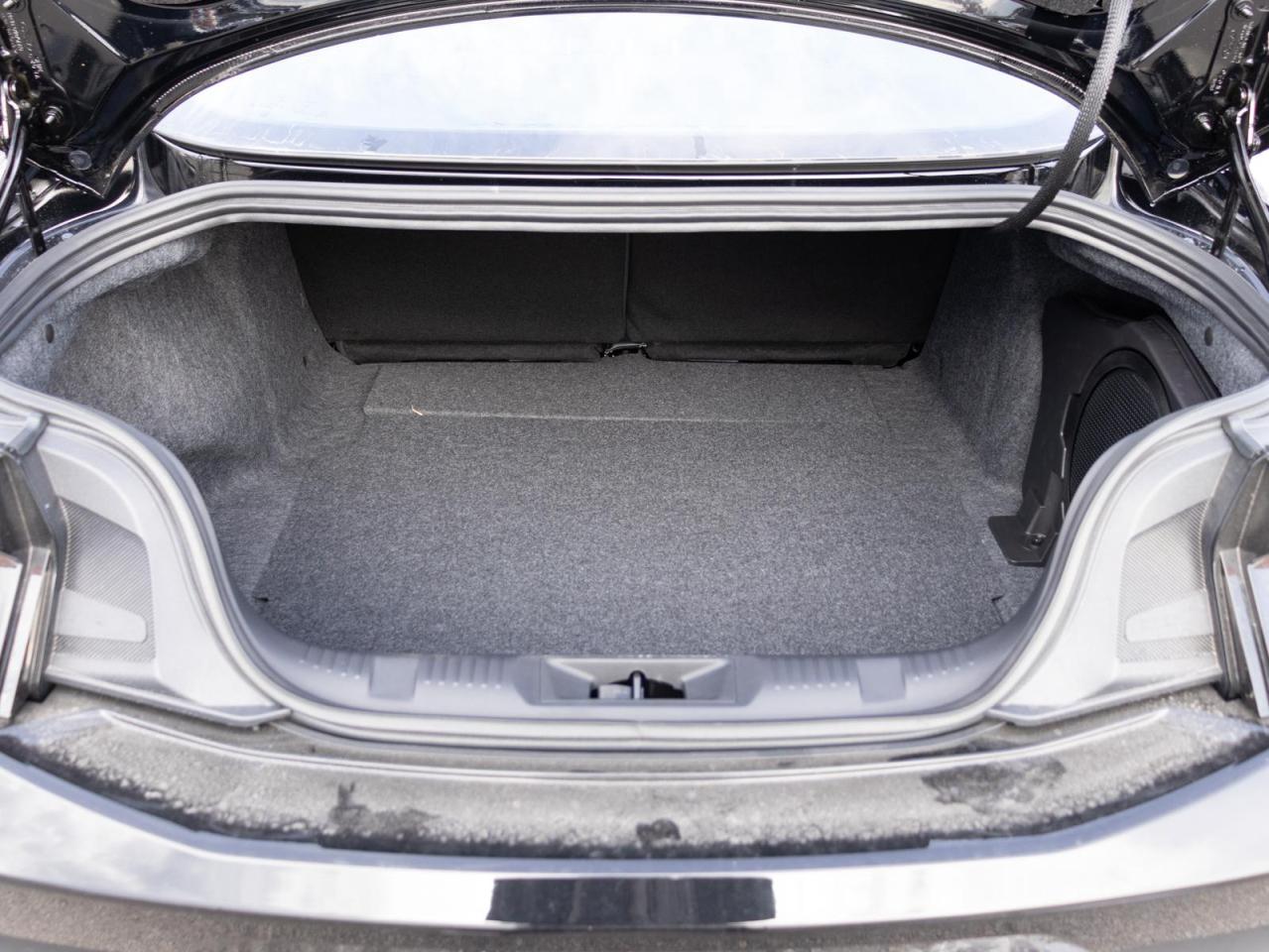 2024 Ford Mustang  Photo