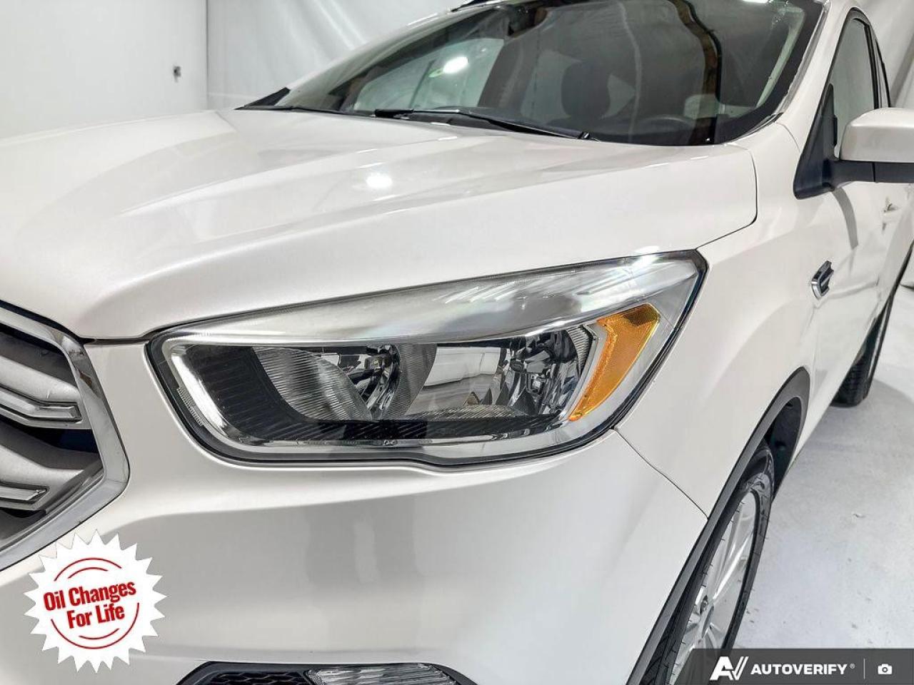 2018 Ford Escape SE FWD Photo