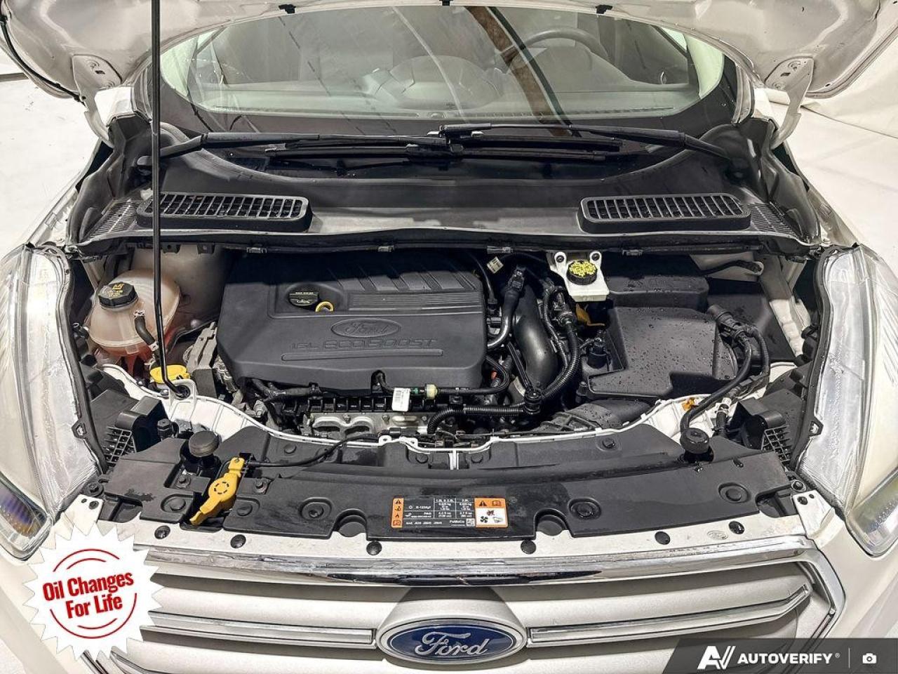 2018 Ford Escape SE FWD Photo