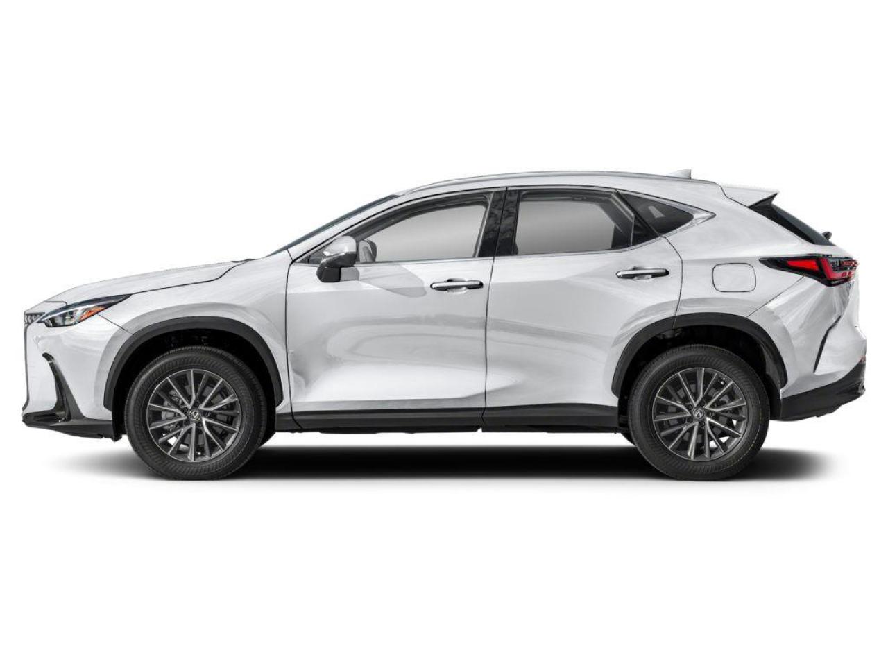 2025 Lexus NX 250 Base 4dr All-Wheel Drive Photo