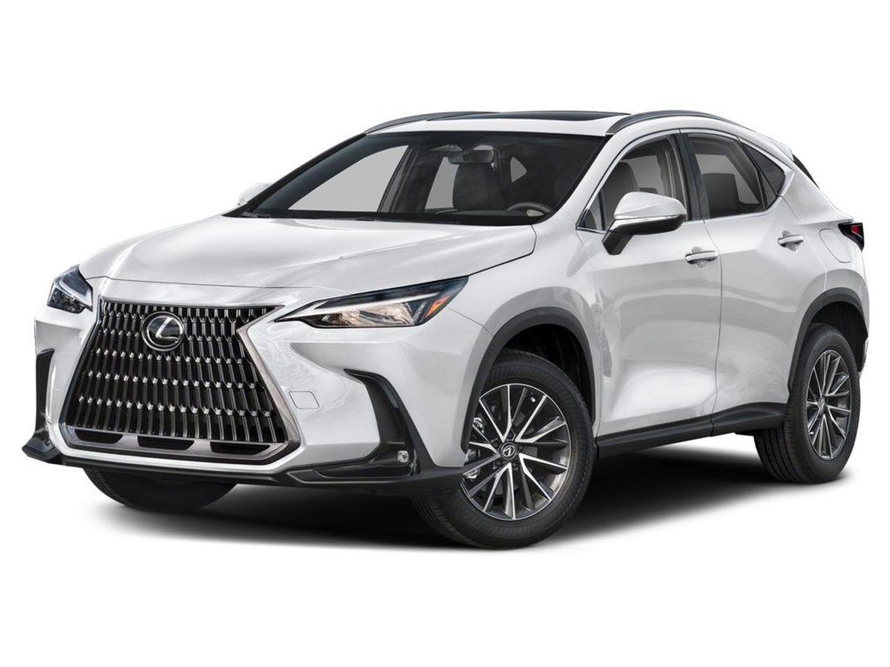 2025 Lexus NX 250 Base 4dr All-Wheel Drive Photo