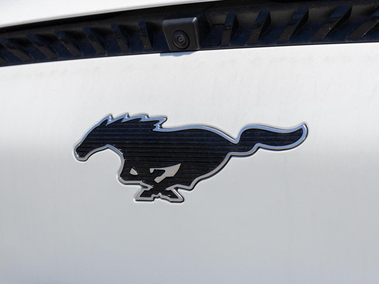 2025 Ford Mustang Mach-E Select 4dr All-Wheel Drive Photo