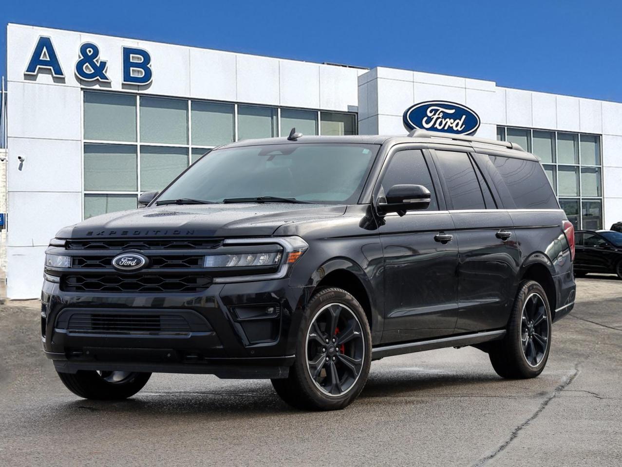 2024 Ford Expedition Max Limited 4dr 4x4 Photo