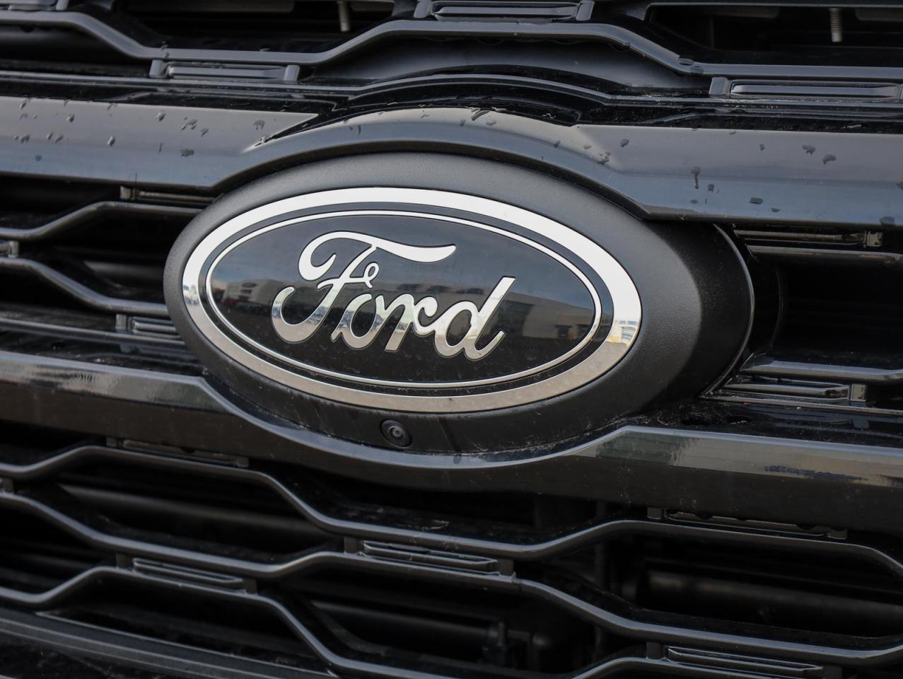 2024 Ford Expedition Max Limited 4dr 4x4 Photo