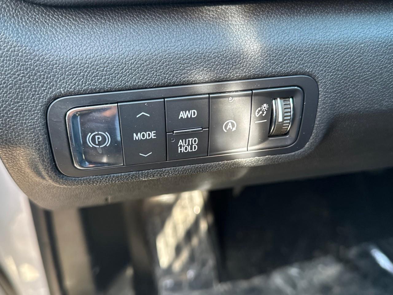 2025 GMC Terrain AWD 4dr Elevation Photo