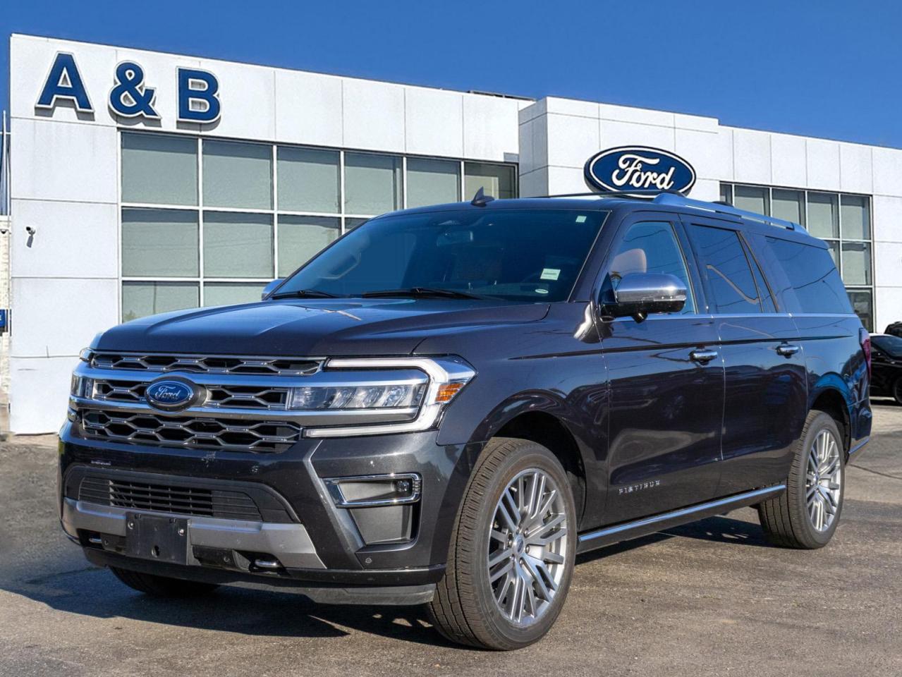 2023 Ford Expedition Max Platinum 4dr 4x4 Photo0