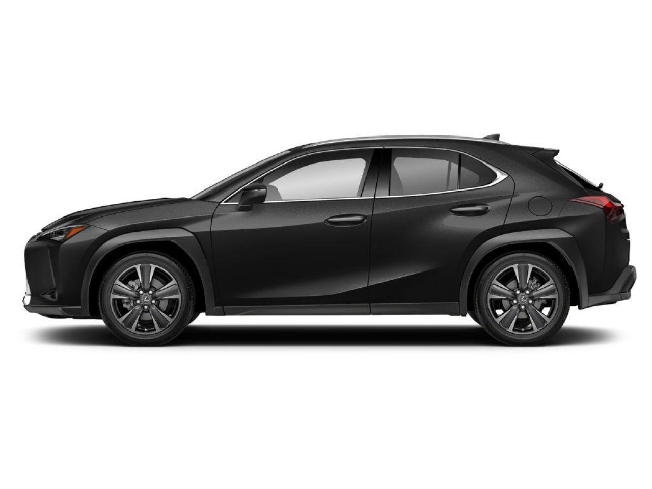2025 Lexus UX 300H Base 4dr All-Wheel Drive Photo