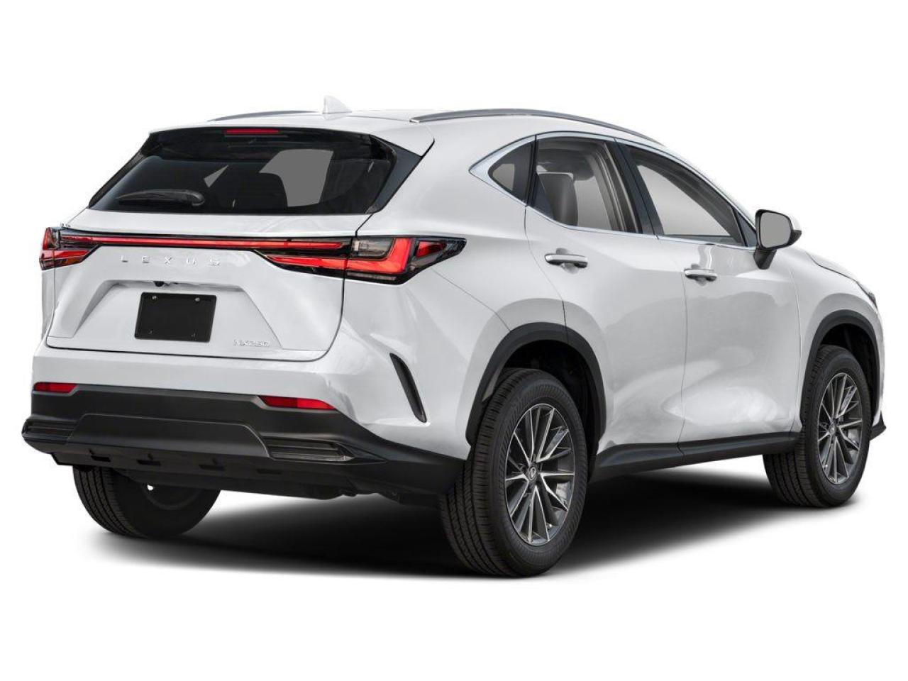 2025 Lexus NX 250 Base 4dr All-Wheel Drive Photo