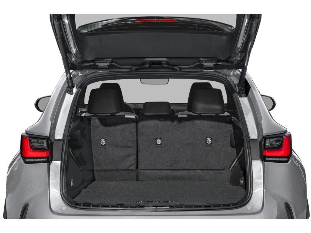 2025 Lexus NX 250 Base 4dr All-Wheel Drive Photo