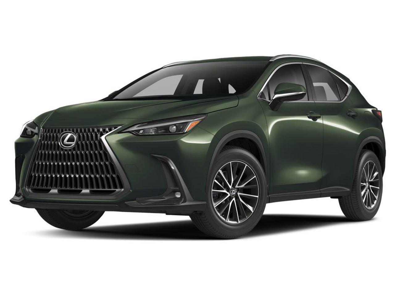 2025 Lexus NX 350 Base 4dr All-Wheel Drive Photo