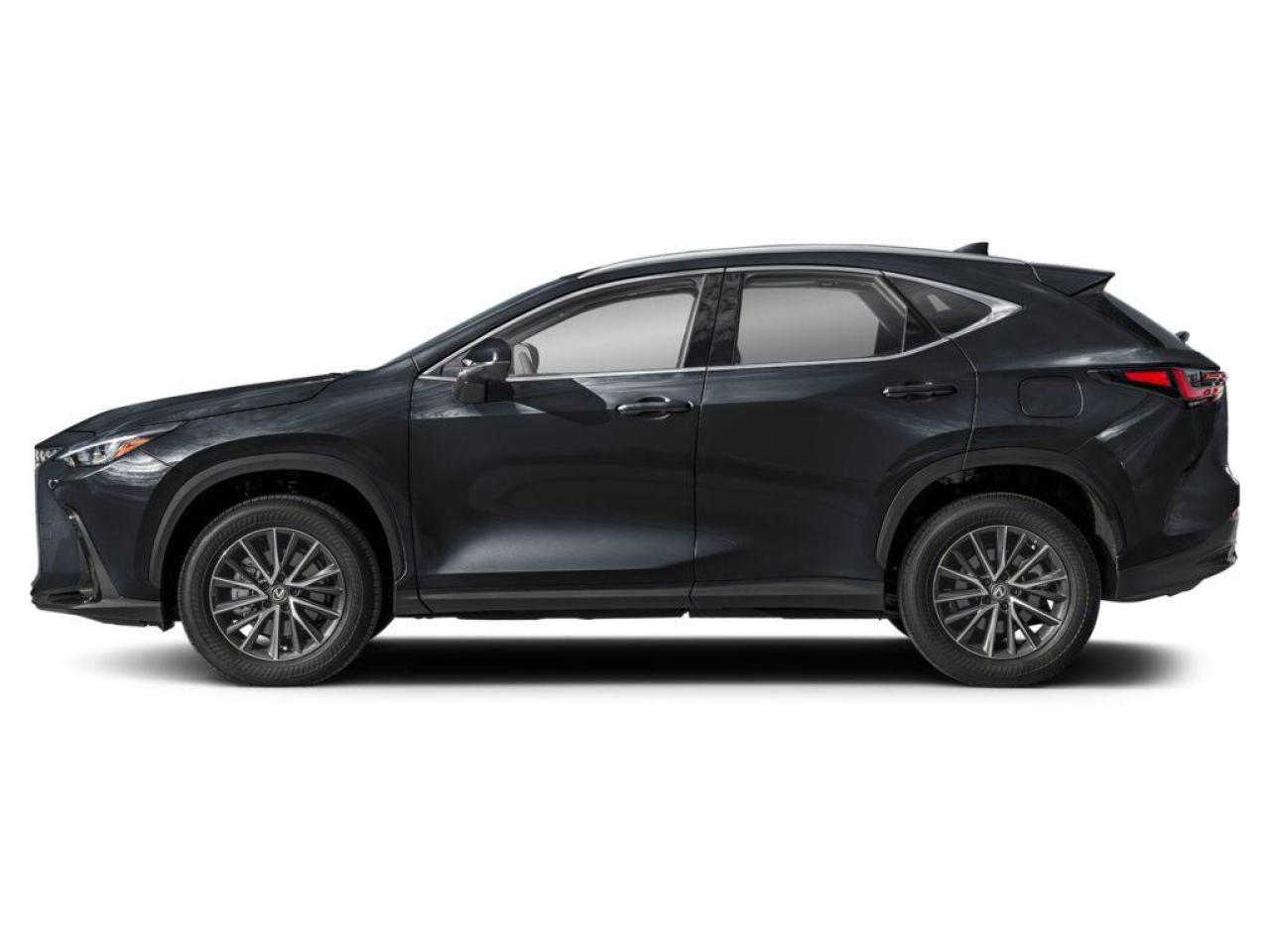 2025 Lexus NX 250 Base 4dr All-Wheel Drive Photo