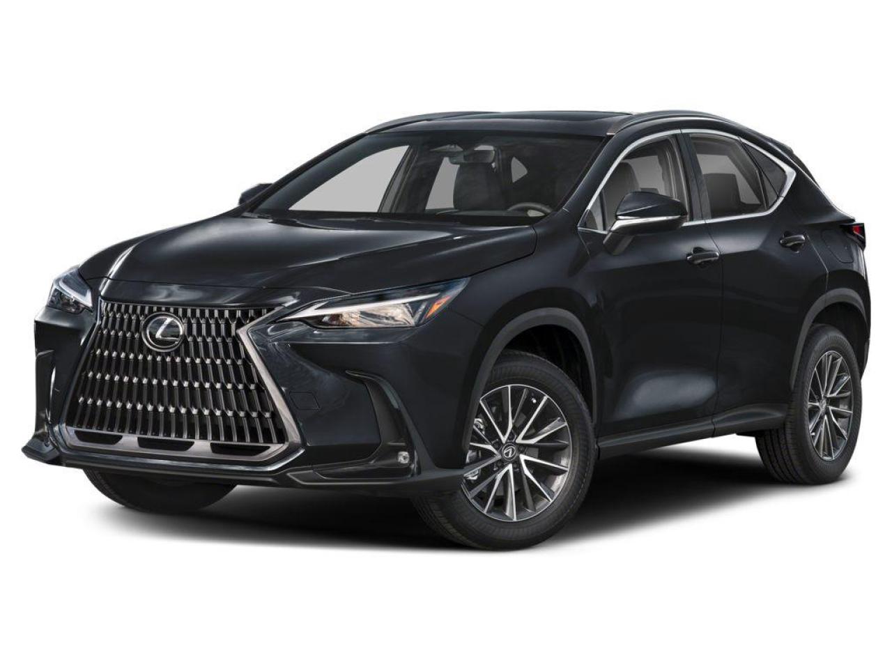 2025 Lexus NX 250 Base 4dr All-Wheel Drive Photo