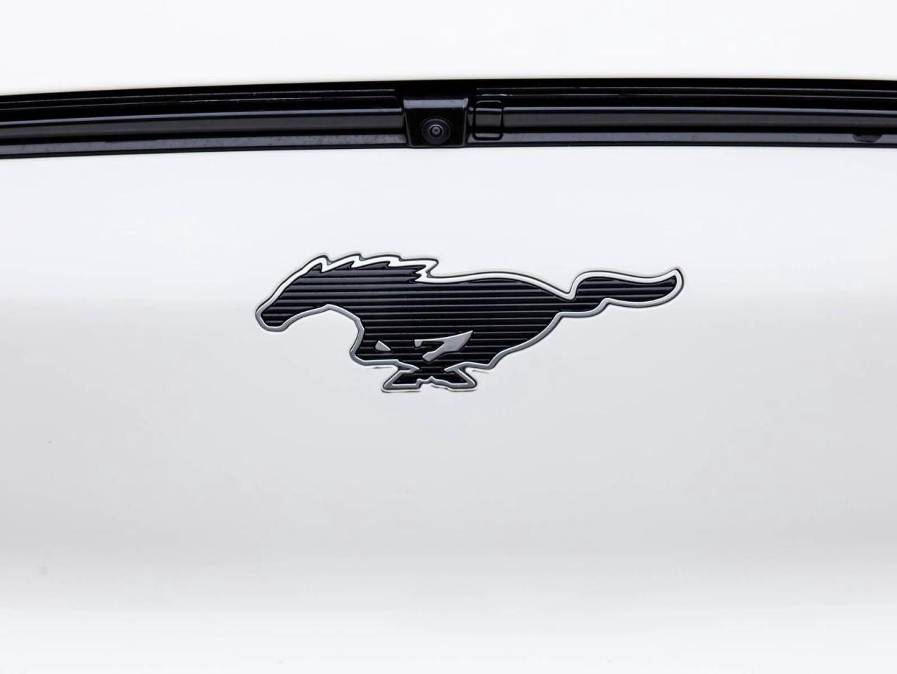 2021 Ford Mustang Mach-E Premium 4dr All-Wheel Drive Photo