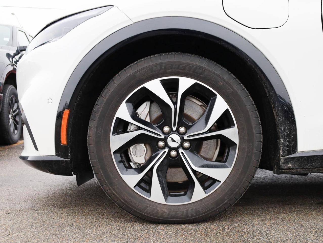 2021 Ford Mustang Mach-E Premium 4dr All-Wheel Drive Photo