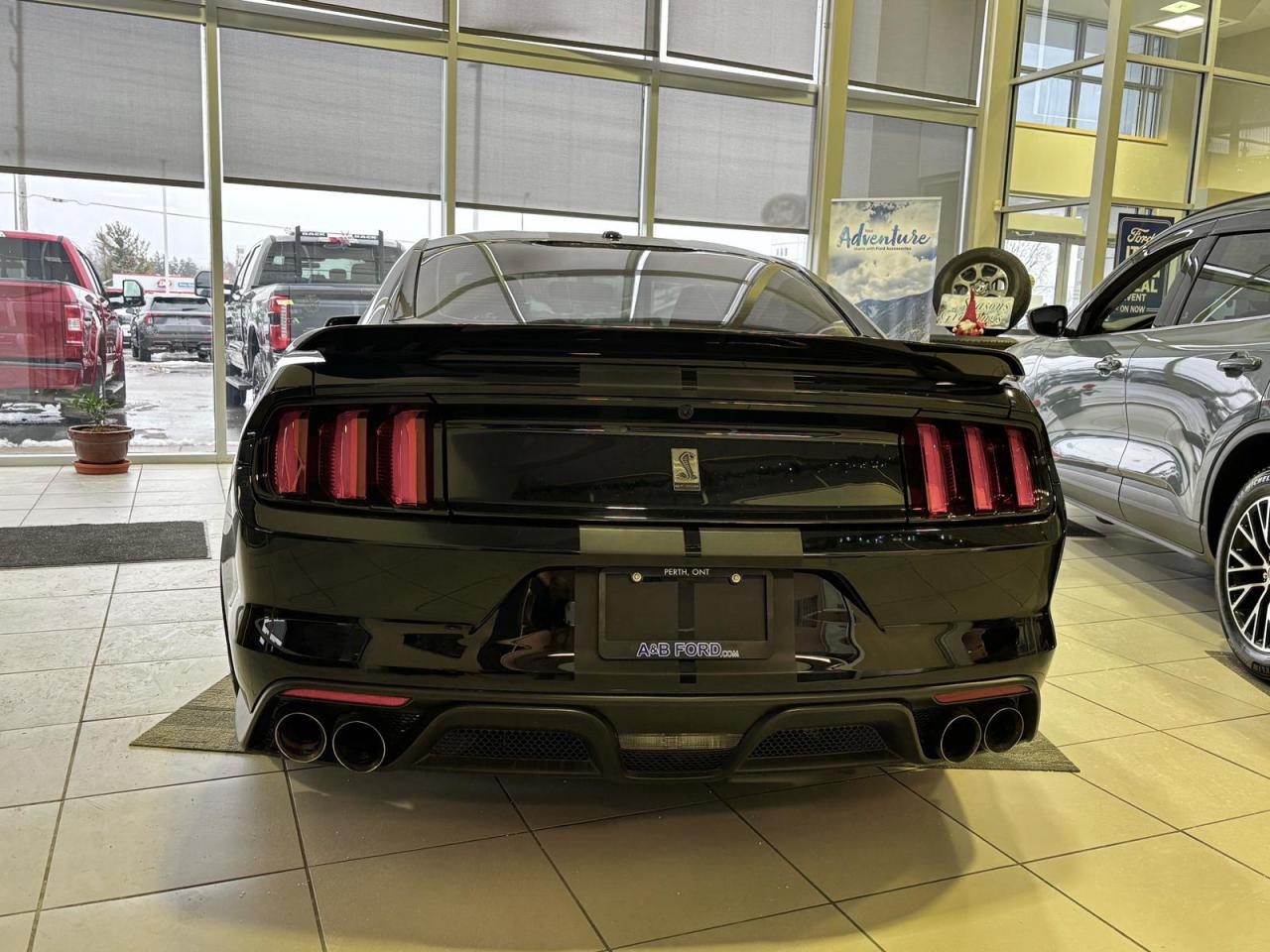 2017 Ford Shelby GT350 Base 2dr Fastback Photo