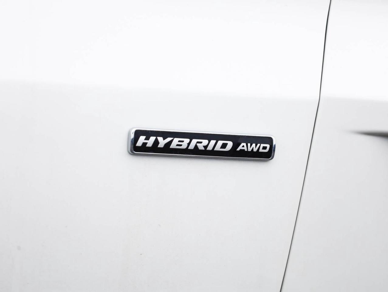 2026 Ford Escape ST-Line 4dr All-Wheel Drive Photo