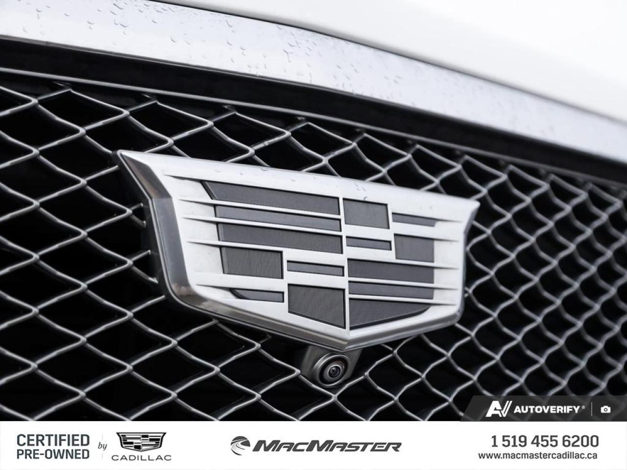 2022 Cadillac Escalade Premium Luxury 4x4 Photo