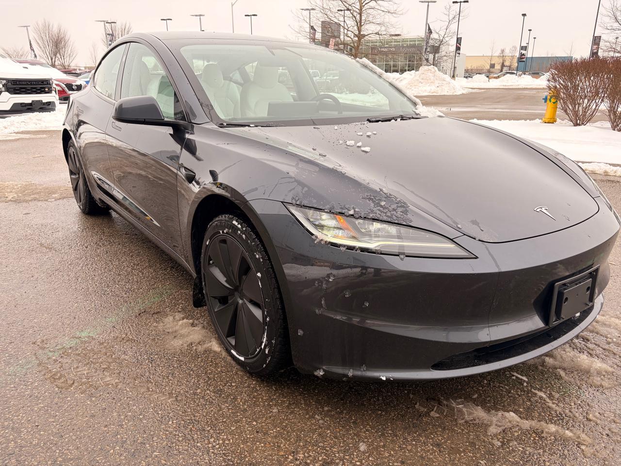 2024 Tesla Model 3 Base 4dr Rear-Wheel Drive Sedan Photo