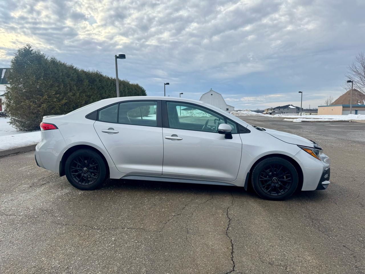 2020 Toyota Corolla SE Photo