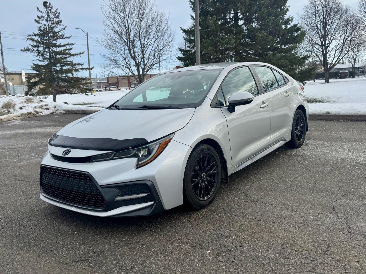 2020 Toyota Corolla SE Photo