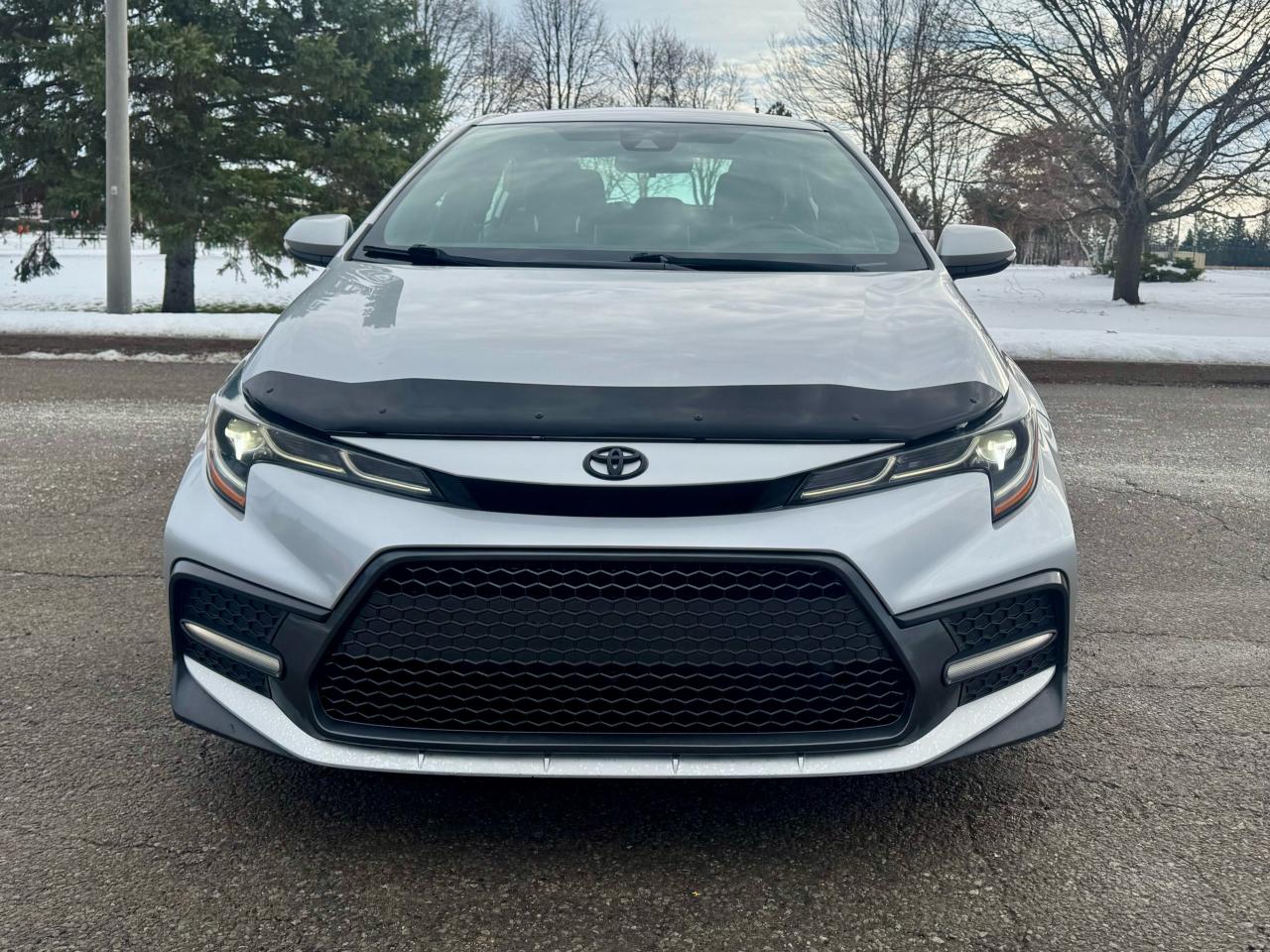 2020 Toyota Corolla SE Photo
