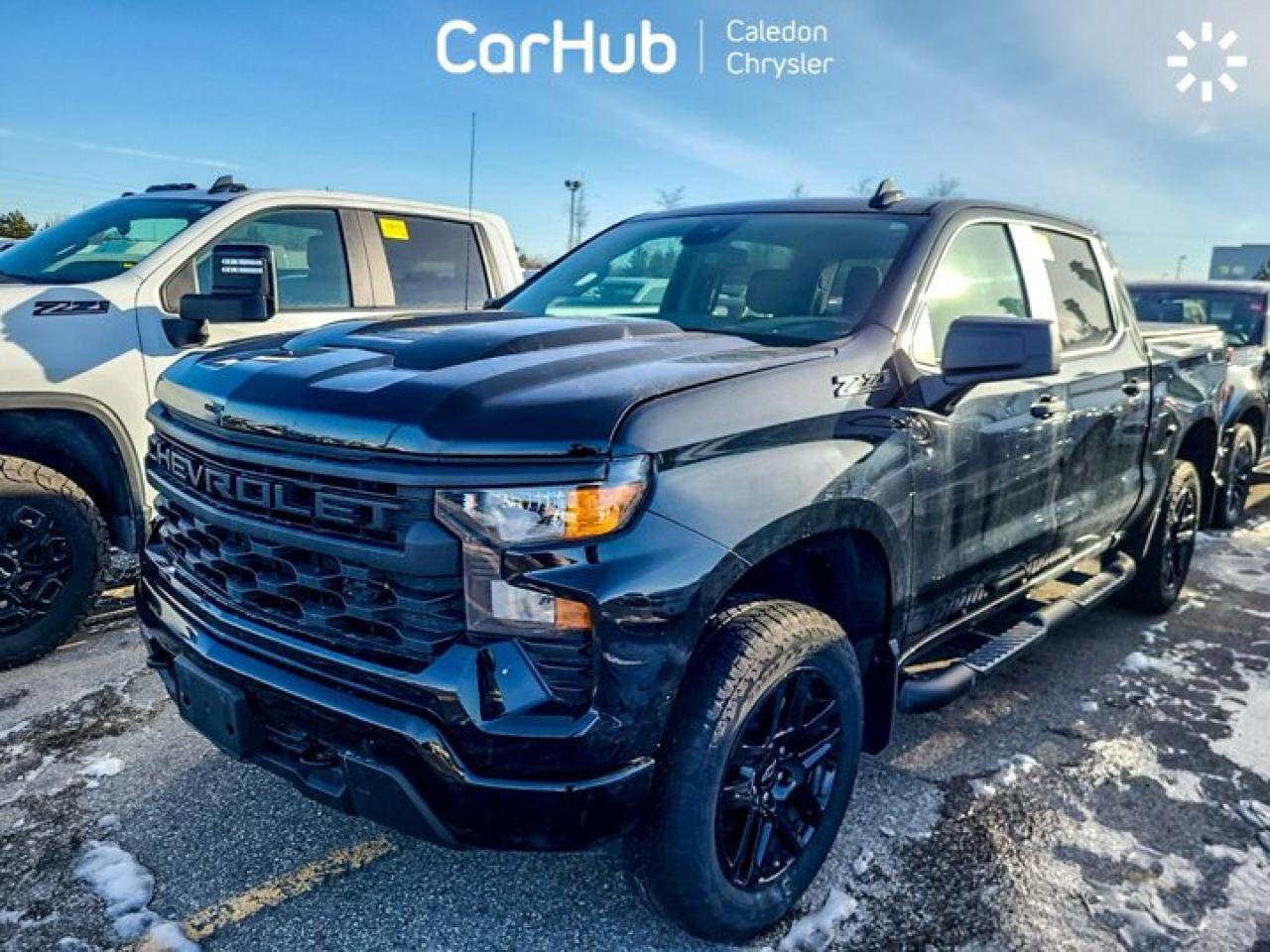 2024 Chevrolet Silverado 1500 Custom Trail Boss 4WD Crew Cab 157" Z71 6 Passenger Photo