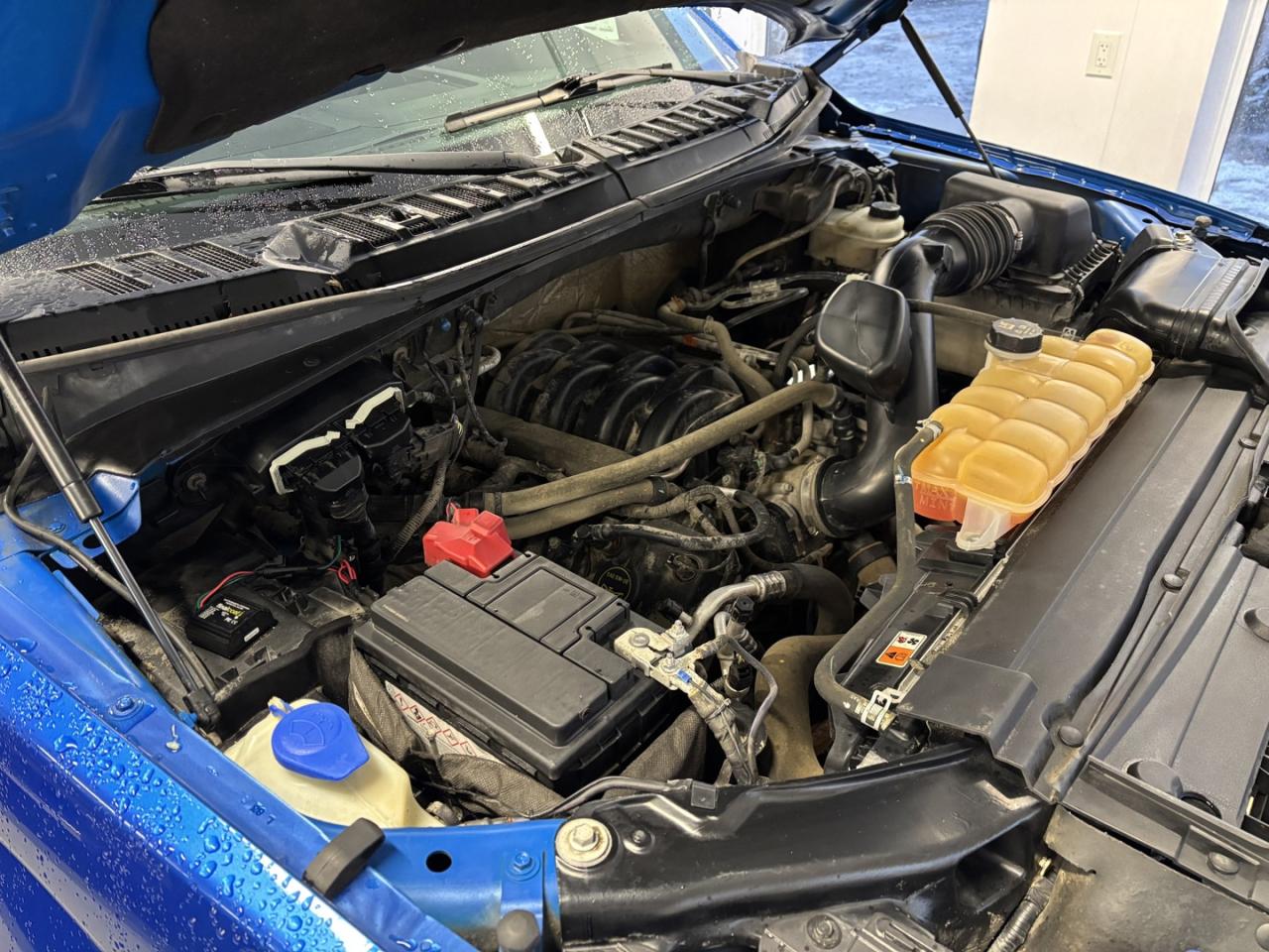 2016 Ford F-150 XLT SuperCrew 6.5-ft. Bed 4WD Photo