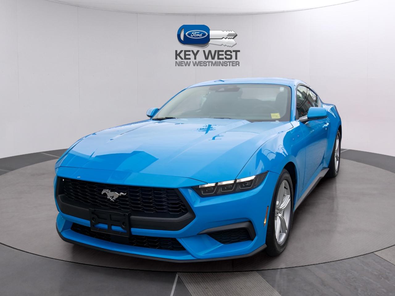 2026 Ford Mustang EcoBoost Fastback Photo0