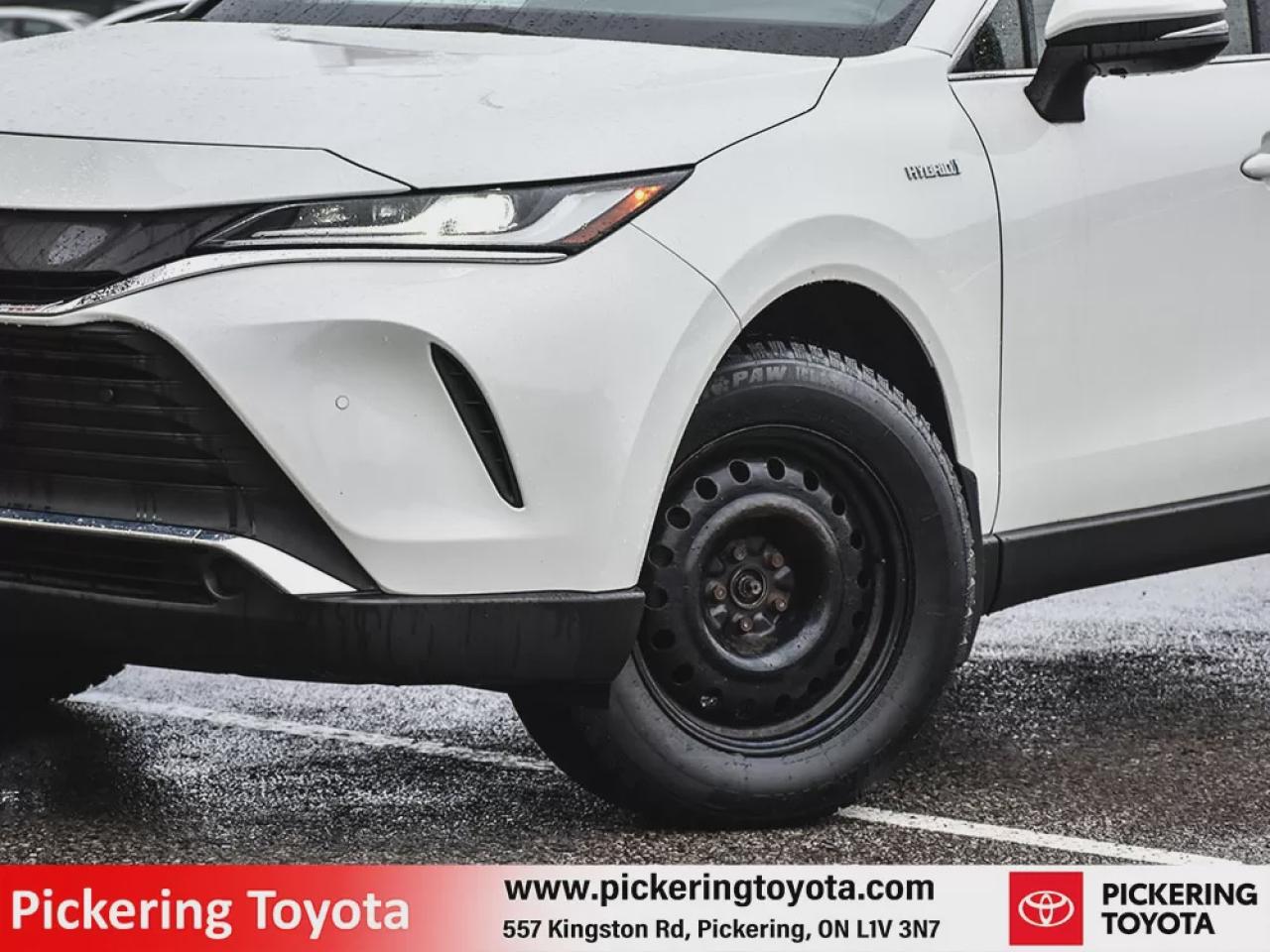 2021 Toyota Venza XLE Photo