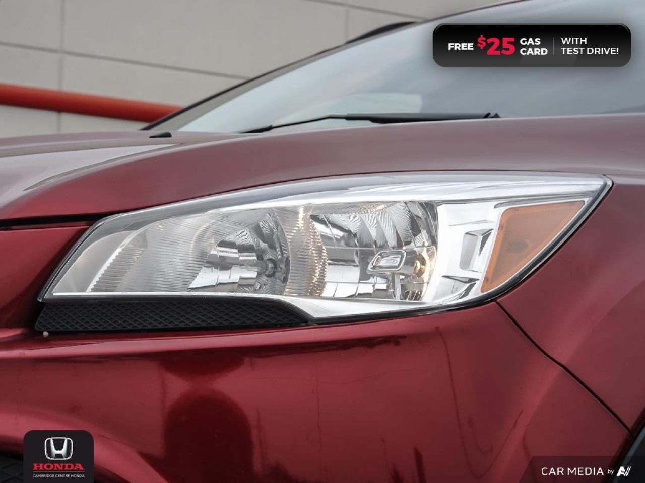 2016 Ford Escape SE Photo