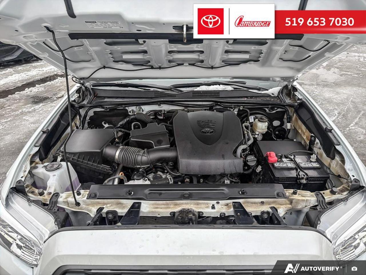 2023 Toyota Tacoma  Photo