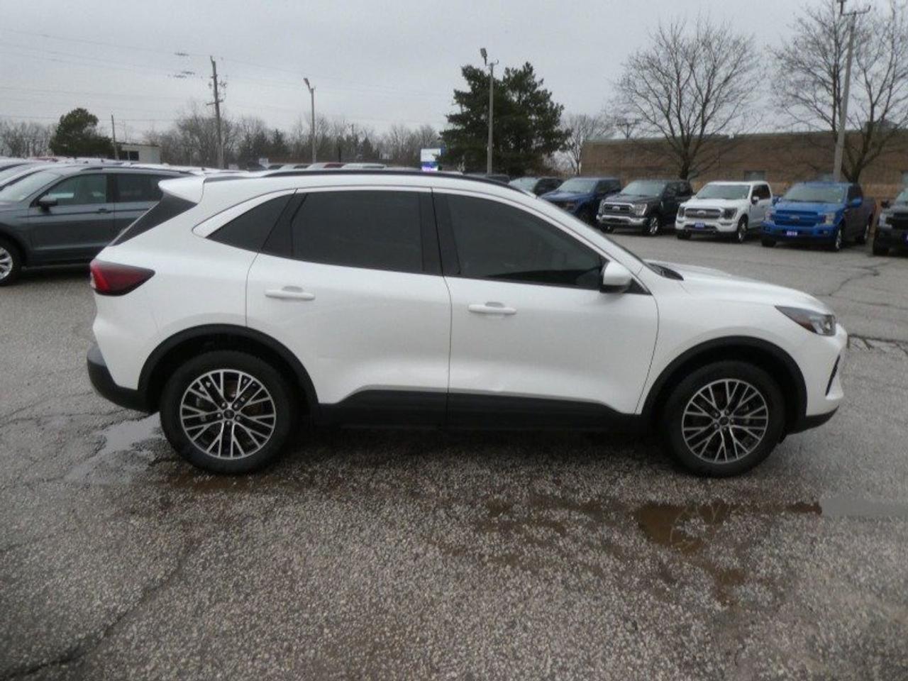 2023 Ford Escape Plug-In Hybrid Base Photo