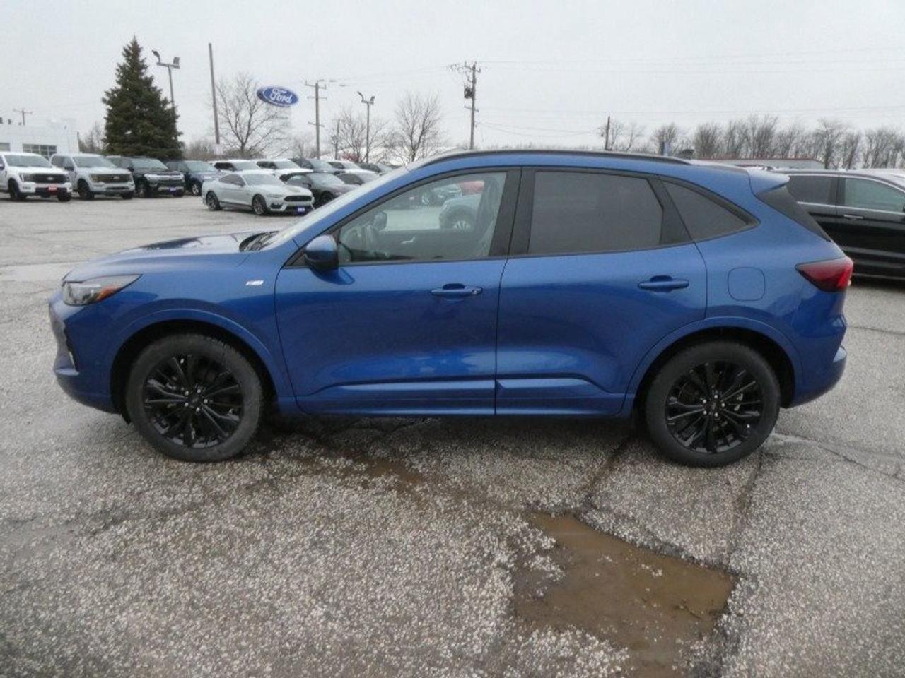 2023 Ford Escape Hybrid ST-LINE ELITE Photo