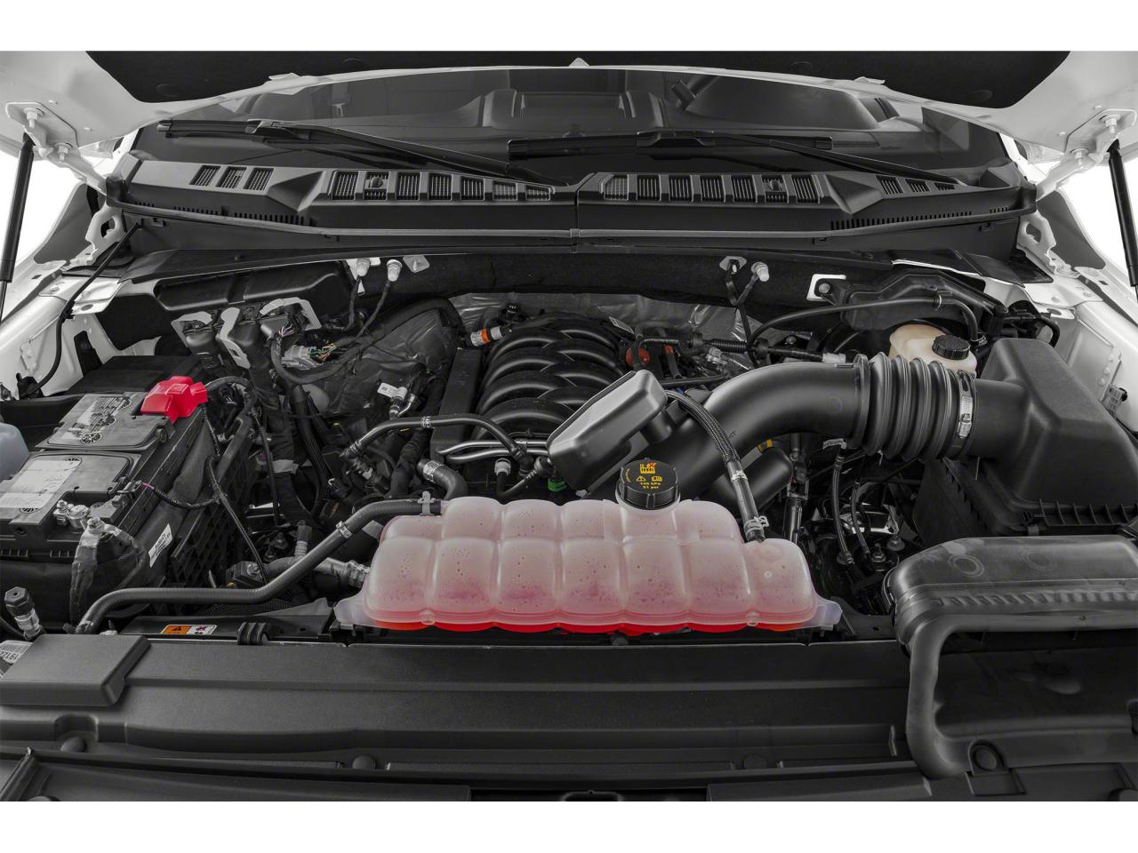 2020 Ford F-150 XLT Photo