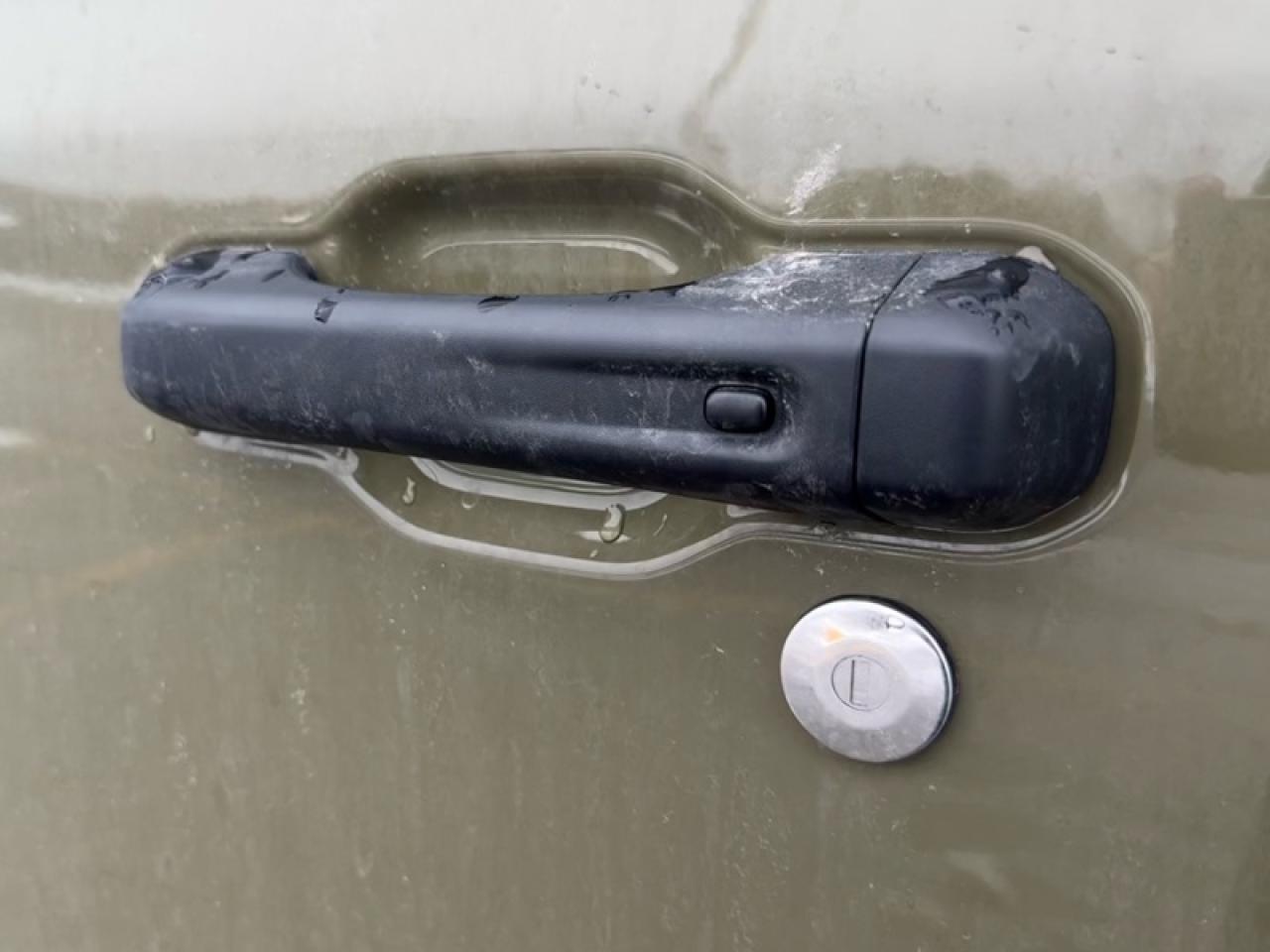 2026 Jeep Gladiator Willys  - Freedom Top Photo