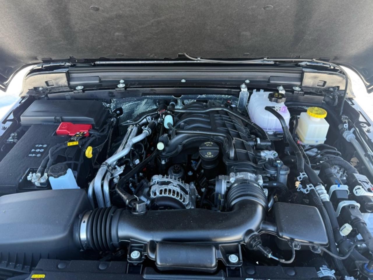 2026 Jeep Gladiator Willys  - Freedom Top Photo